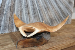 NEW Balinese Hand Carved & Crafted Suar Wood Manta Ray Sculpture - Bali Carving