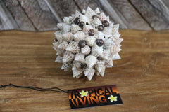 Hand Crafted Shell Decor Ball - Balinese Shell Home Decor - Boho Style Homewares