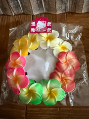 Pack 10 Frangipani Hair Clips - Assorted Colour Frangipani Crocodile Hair Clip