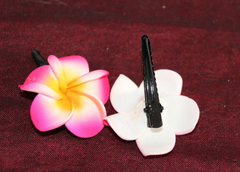 NEW Frangipani Crocodile Clips - MANY COLOURS - Frangipani Hair Clips - Pack 2