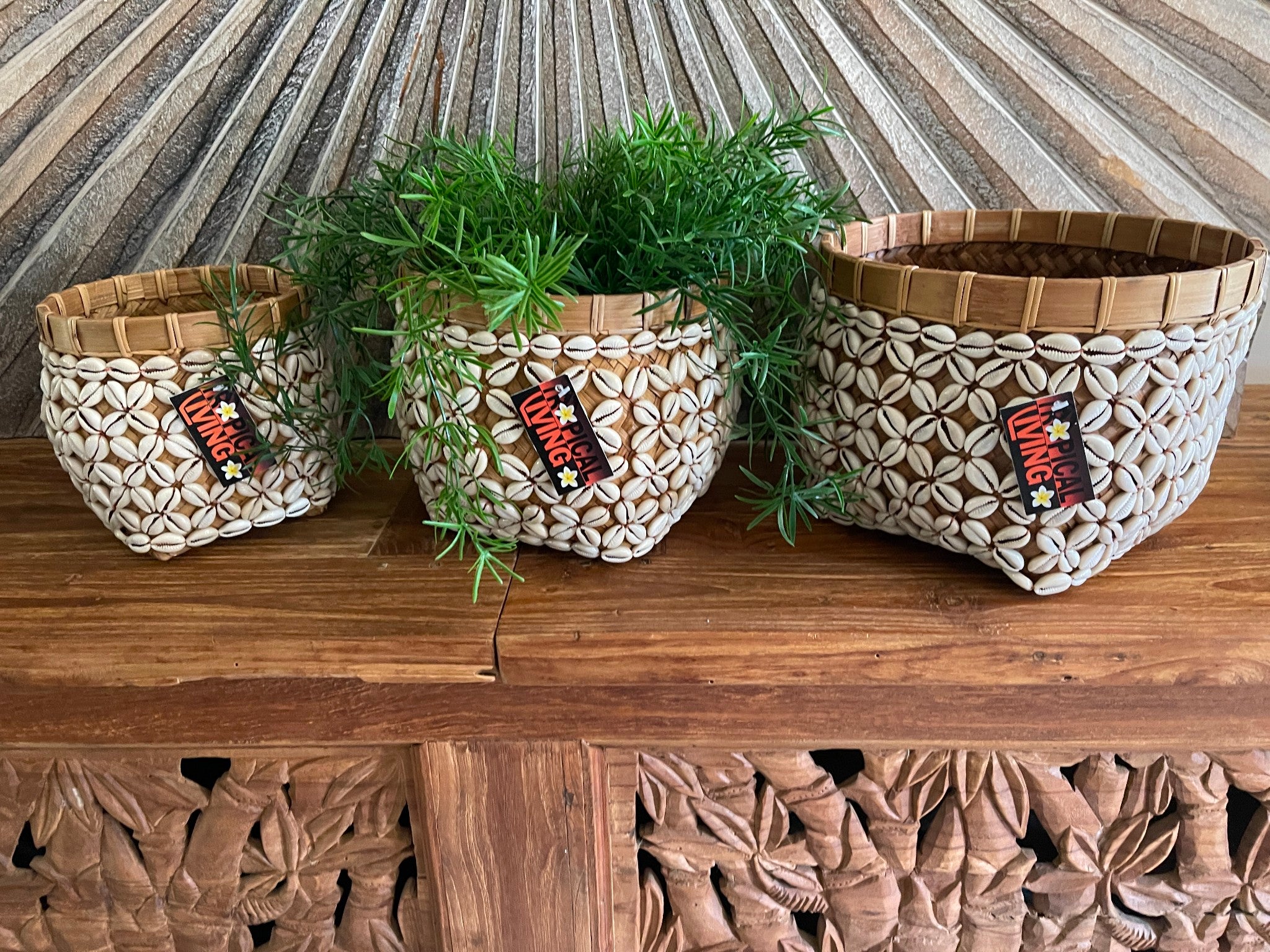 Balinese Hand Woven Open Basket Encrusted w/Shell - 3 sizes available STUNNING