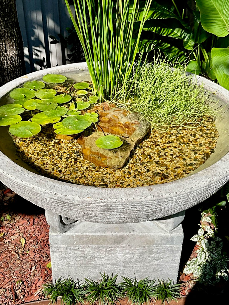 Balinese Hand Crafted Concrete Water Bowl - Pot - Bird Bath - Bali Bird Bath