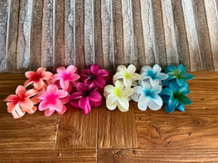 Frangipani Hair Clip - 6 COLOURS - Frangipani Claw Hair Clip GREAT GIFT Pack 2