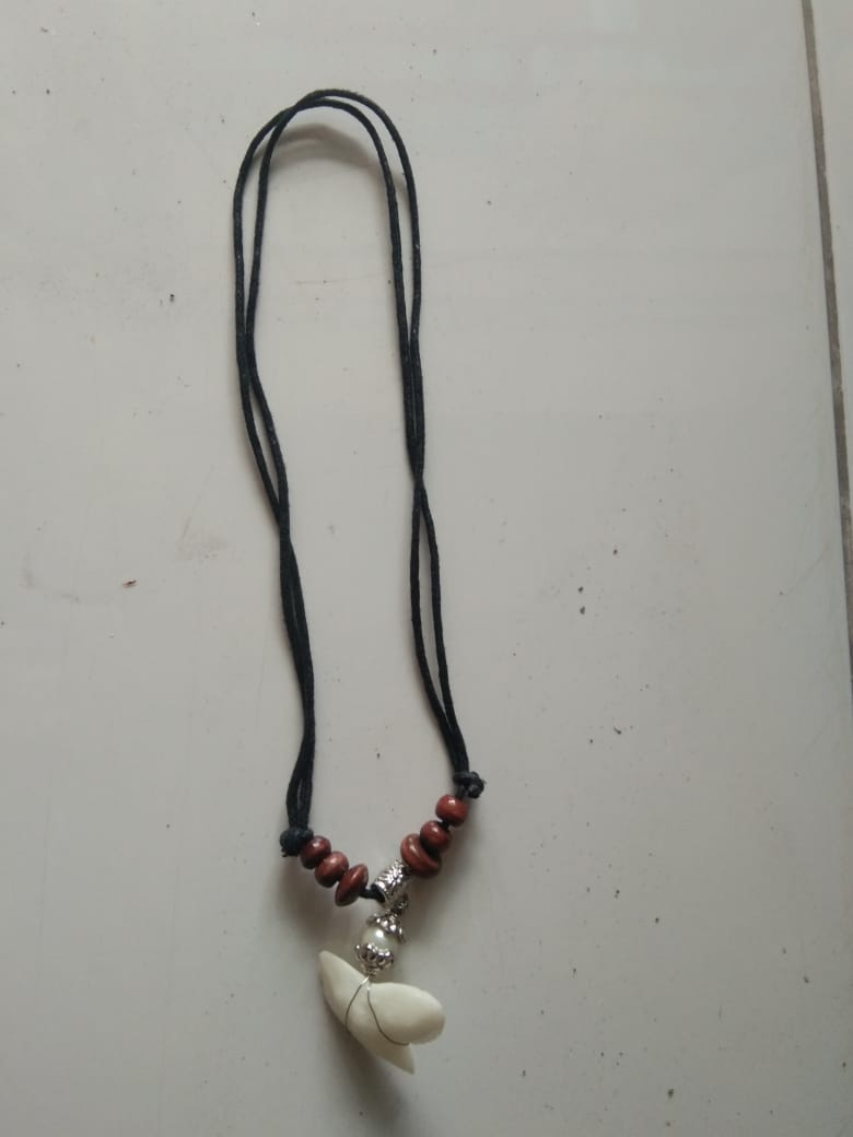 NEW Hand Crafted Shark Tooth Necklace - Sharks Tooth on Thonging Necklace