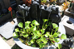 NEW Balinese Frog Water Feature - Bali Water Feature