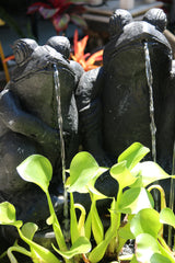 NEW Balinese Frog Water Feature - Bali Water Feature