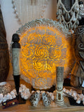 Brand New Natural Shell Feature Lamp - Indoor Bali Feature Lamp - Shell Lamp