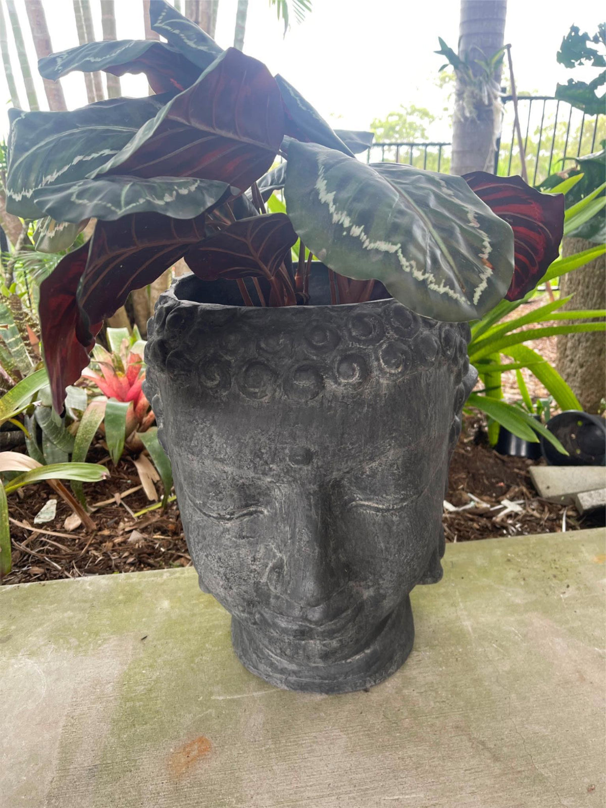 Balinese Cast Buddha Head Pot - Bali Buddha Head Plant Pot - Balinese Garden Art