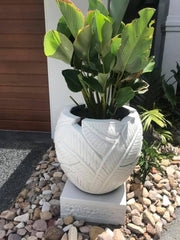 NEW Balinese Hand Crafted & Carved Frangipani Pot - Bali Frangipani Feature Pot