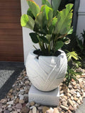 NEW Balinese Hand Crafted & Carved Frangipani  Pot - Bali Feature Pot