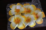 NEW Large Floating Frangipanis / PACK of 5 Large Bali Wedding Scatter Flowers