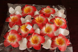 NEW Medium Floating Frangipanis / PACK of 20 Bali Wedding Scatter Flowers