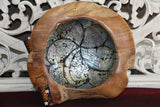 NEW Balinese Quality TEAK Wood & Shell Feature Bowl - Bali handcrafted bowl