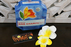 NEW Balinese DARSHAN Incense Coils - Box 10 - 1 Fabulous Fragrances BALI Incense