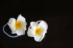 NEW Frangipani Hairbands - MANY COLOURS - Frangipani Hair Ties - GREAT GIFT