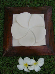 Brand New Balinese Hand Crafted Limestone Frangipani Wall Plaque Bali Wall Art