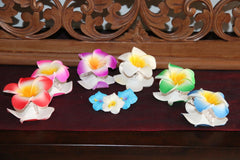 NEW Double Frangipani Hair Clip - MANY COLOURS - Frangipani Claw Hair Clip