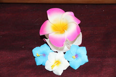 NEW Double Frangipani Hair Clip - MANY COLOURS - Frangipani Claw Hair Clip