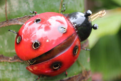 NEW Bali Hand Crafted Metal Ladybird - Balinese Metal Art Ladybird 3 Sizes Avail