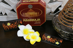 NEW Balinese DARSHAN Incense Coils - Box 10 - Fabulous Fragrances BALI Incense