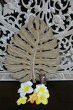 NEW Balinese Carved MDF Monstereo Leaf - Mandala / Tropical Wall Panels - Bali W
