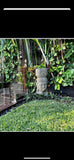 NEW Hand Carved Balinese Greenstone Dewi Sri Head Pot - Bali Dewi Statue / Pot