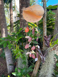 NEW Balinese Natural L Shell Windchime / Mobile - Bali Shell Mobile / Chime