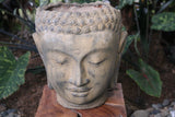 New Balinese Cast Concrete Buddha Head Pot - 2 Colours Available - GORGEOUS!!