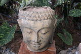 New Balinese Cast Concrete Buddha Head Pot - 2 Colours Available - GORGEOUS!!