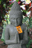 New Balinese Hand Carved Greenstone  Buddha Statue - Praying Buddha Statue
