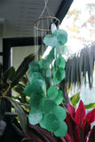 NEW Balinese Capiz Shell with Bamboo Top Windchime / Mobile - Shell Decor Hanger