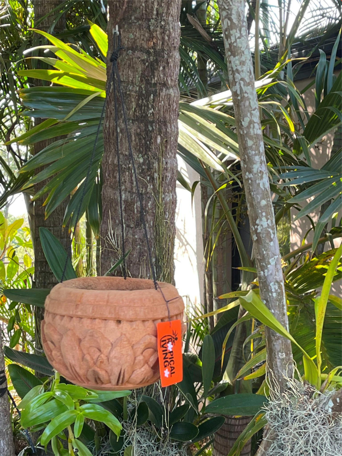 NEW Balinese Hand Crafted & Carved Coconut Hanging Pots - Bali Coconut Pot