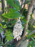 NEW Balinese Shell Chime / Mobile - Choose from 2 Styles