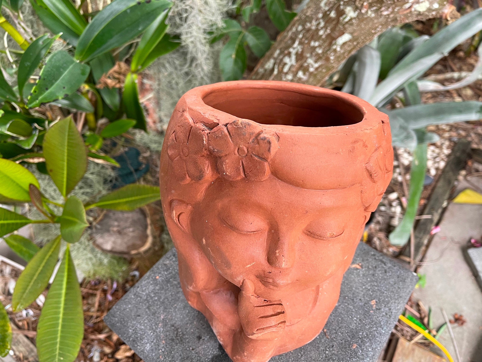Handcrafted Coconut Shell Planter - Funny Face