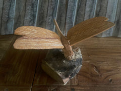 NEW Balinese Hand Carved & Crafted Suar Wood Dragonfly or Butterfly on wood