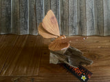 NEW Balinese Hand Carved & Crafted Suar Wood Dragonfly or Butterfly on wood