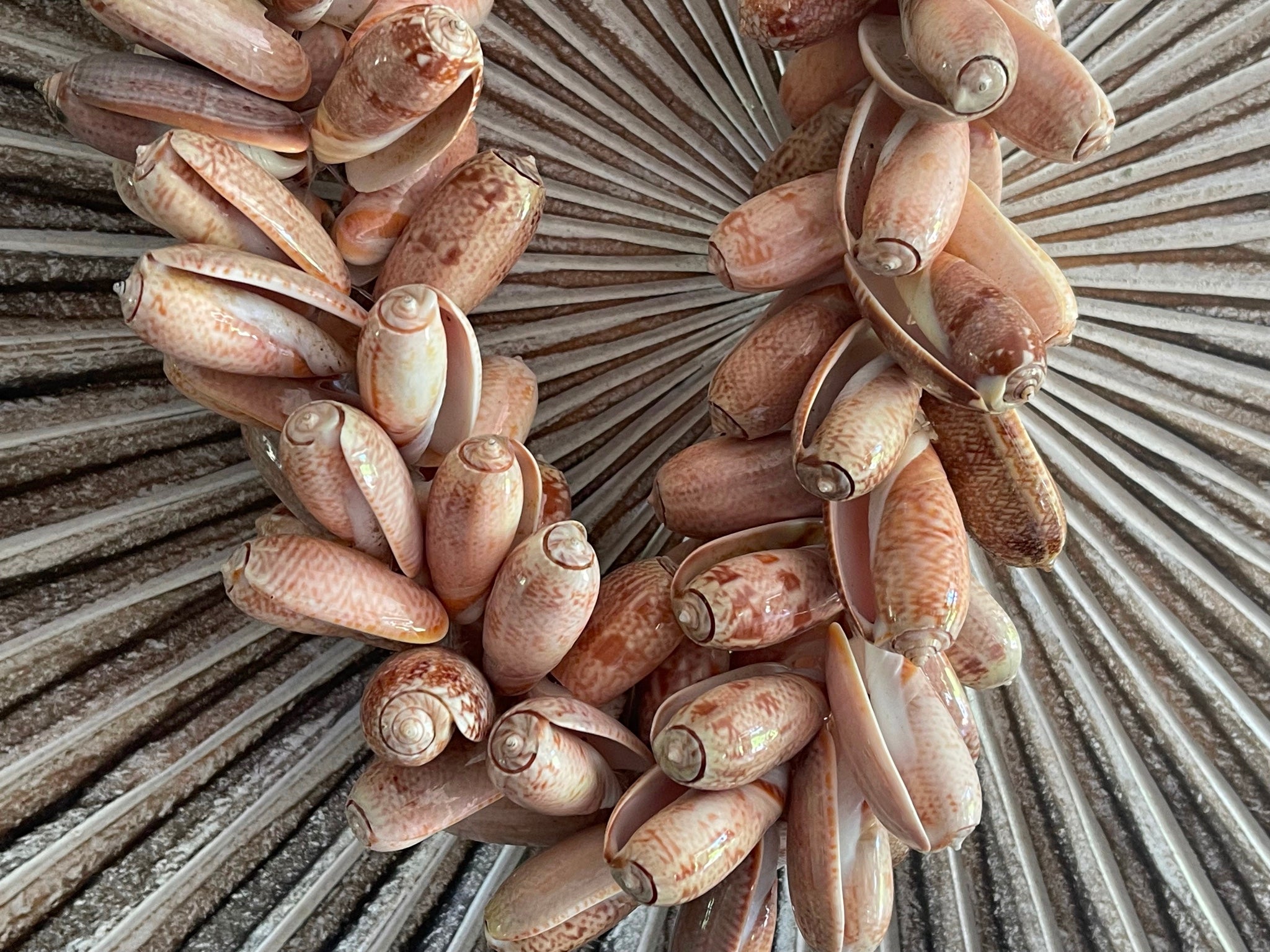 NEW Hand Crafted Balinese Shell Necklace or Garland - Large Bali Shell ...