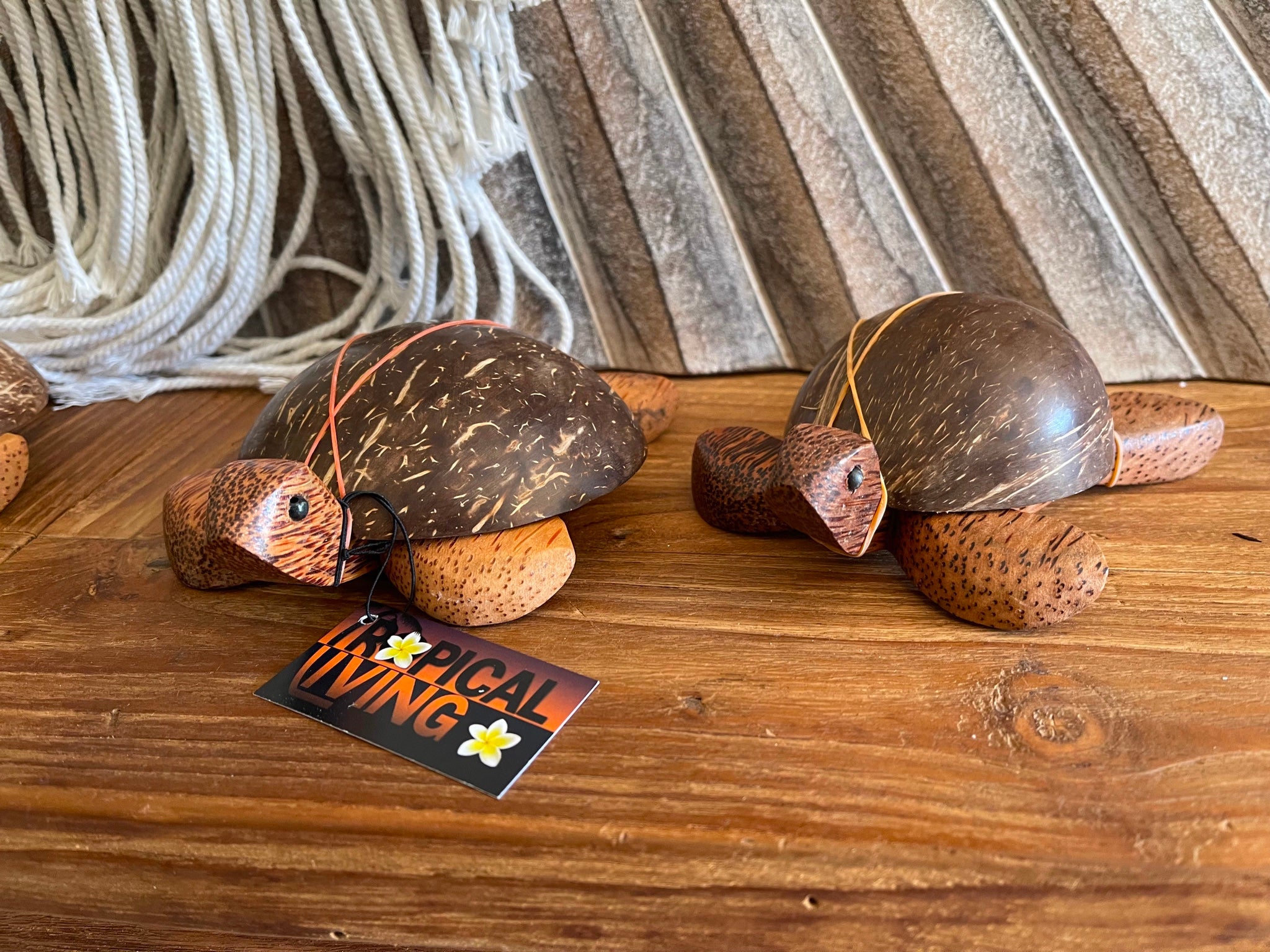 Balinese Hand Crafted Wood / Coconut Shell Turtle Sculpture - Bali Tur ...