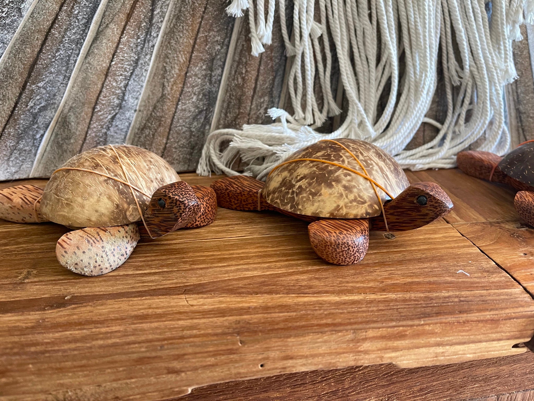 Balinese Hand Crafted Wood / Coconut Shell Turtle Sculpture - Bali Tur ...