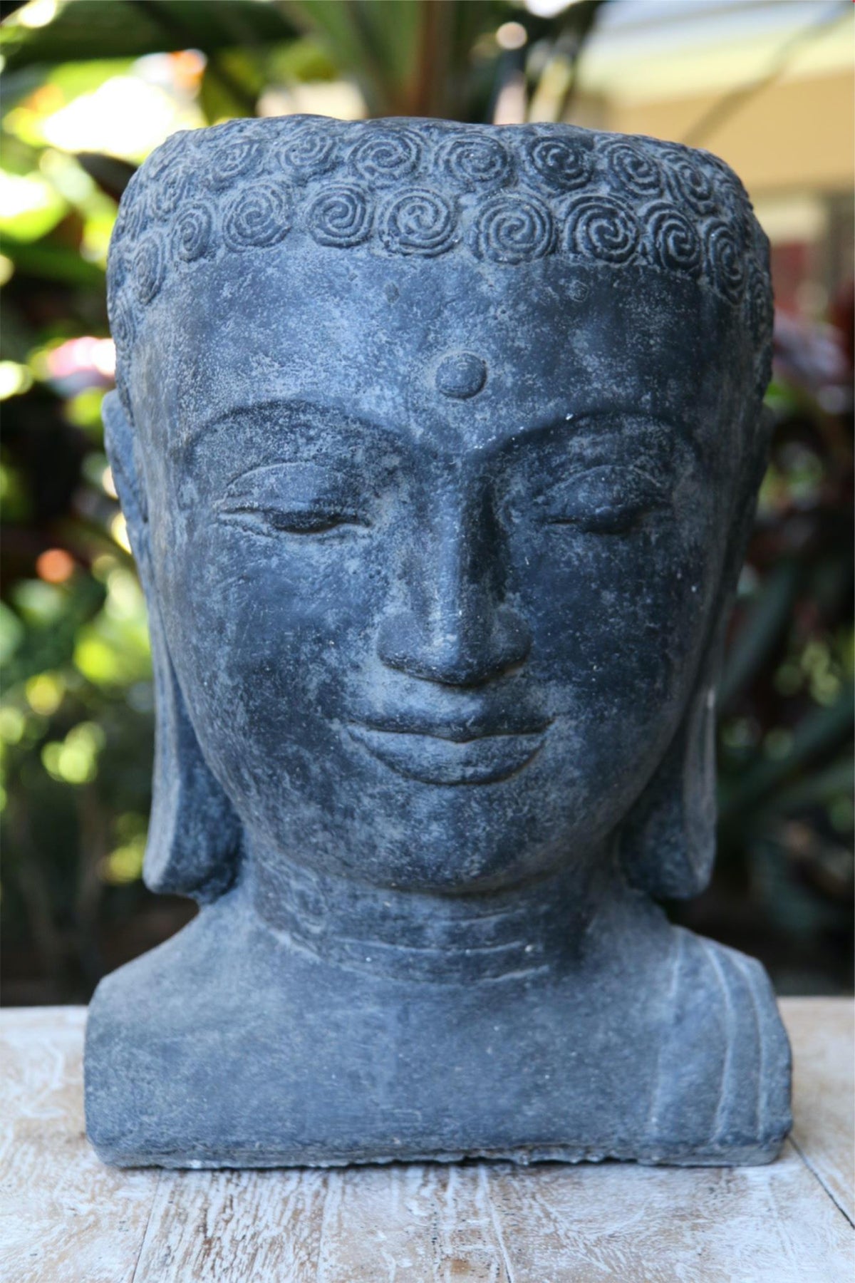 New Balinese Cast Concrete Buddha Head Pot - 3 Colours Available - GORGEOUS!!