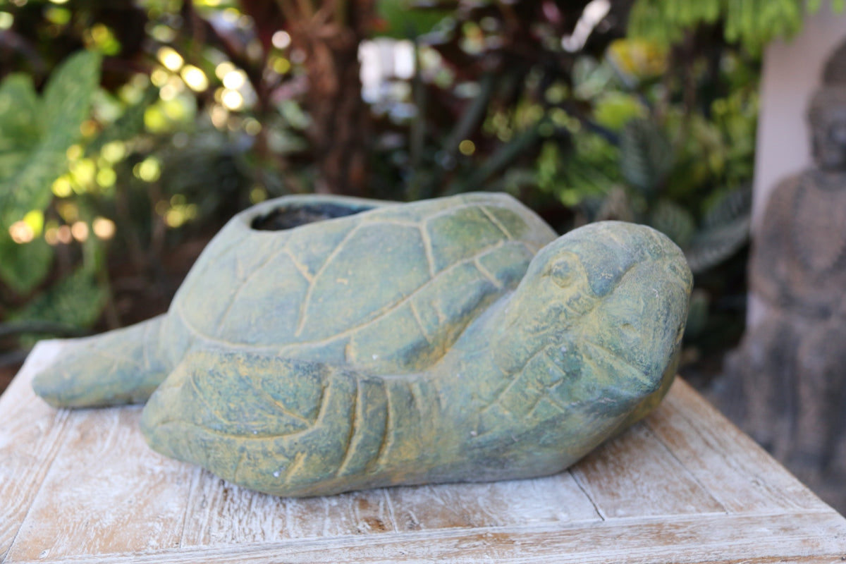 New Balinese Cast Concrete Turtle Pot - 2 Colours Available - GORGEOUS!!