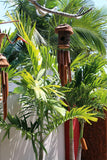 NEW Balinese Wood Stick Birdhouse / Bamboo Wind Chime