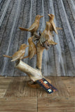 NEW Balinese Hand Carved & Crafted Suar Wood Bird Sculpture - Bali Bird Art